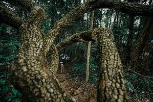 BIB: 
                            <button type="button" onclick="openModal(25702988)" class="btn btn-primary btn-sm float-right btn-popup" data-toggle="modal" data-target=".modal-high-quality">
                        <i class="fas fa-shopping-cart"></i> Add to Cart
                    </button>
                                            <button type="button" onclick="isThisMe(25702988, true)" class="btn btn-success btn-sm float-right btn-popup btn-isme hidden" data-toggle="tooltip" data-placement="bottom" title="นี่คือรูปของคุณใช่ไหม คลิกที่นี่เพื่อเอาเข้าอัลบั้ม">
                        <i class="fas fa-plus"></i> Add to album
                    </button>
                    <button type="button" onclick="isThisMe(25702988, false)" class="btn btn-warning btn-sm float-right btn-popup btn-isnotme hidden">
                        <i class="fas fa-ban"></i> Remove from album
                    </button>